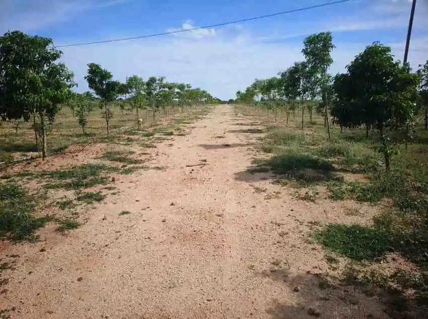 flat for sale in Illathur Thiruthani