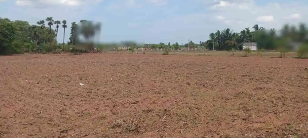 Premium villa plot for sale in Vadakottipakkam Marakkanam