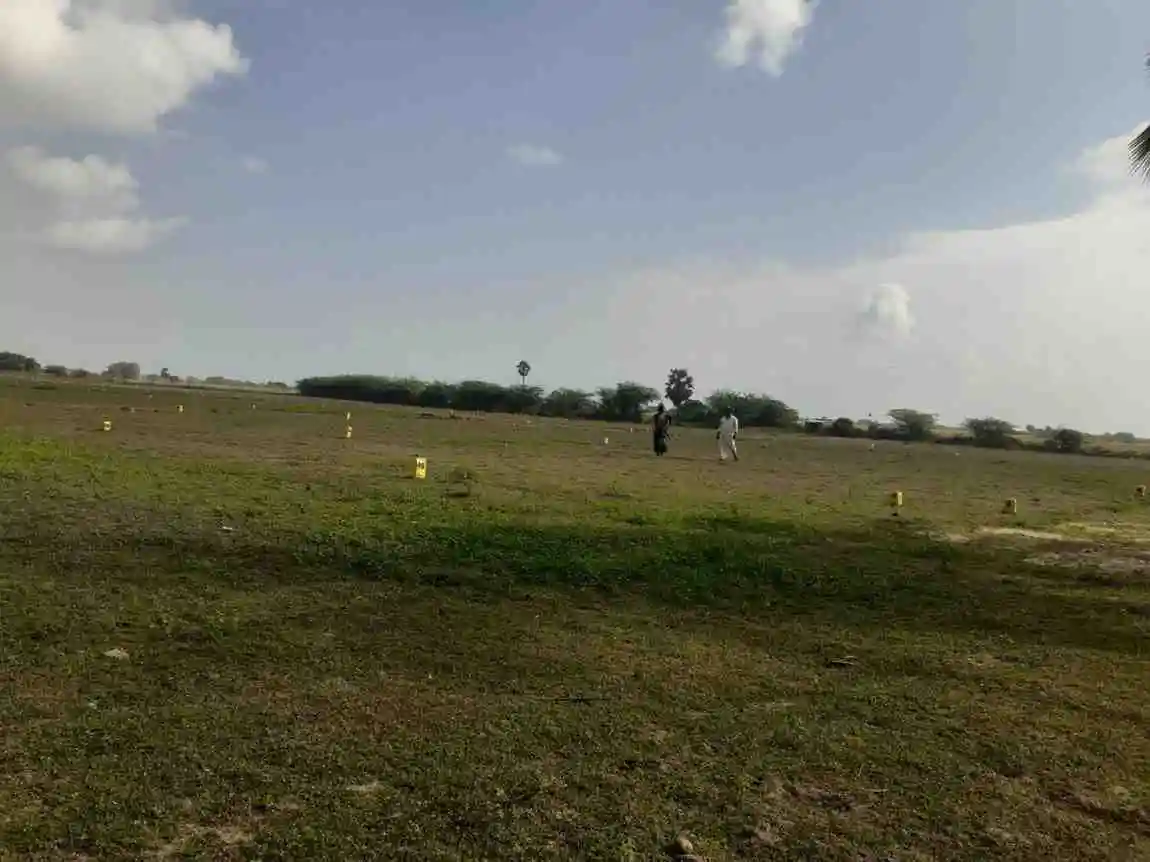 A premium villa plot for sale Minjur