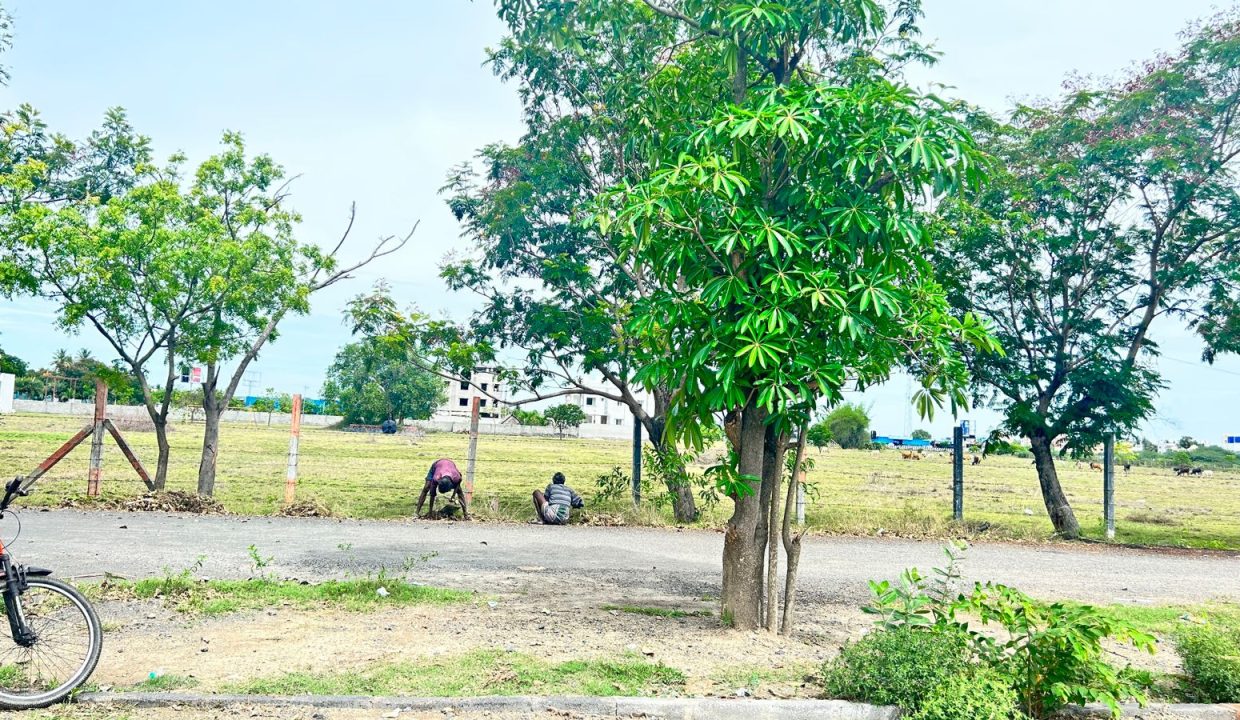 Raj garden3