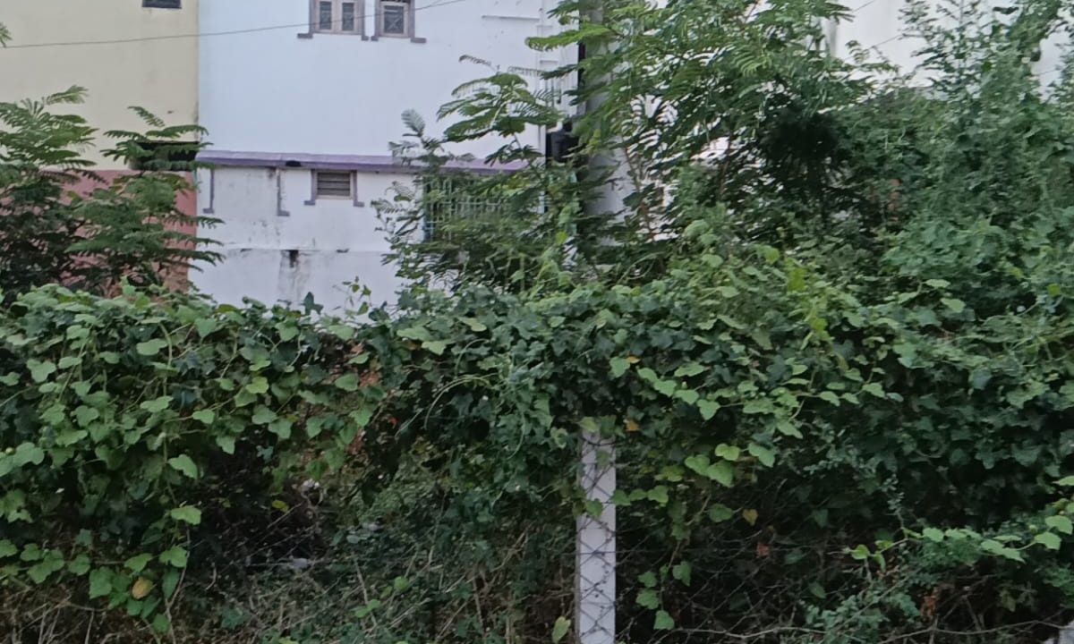 selaiyur2