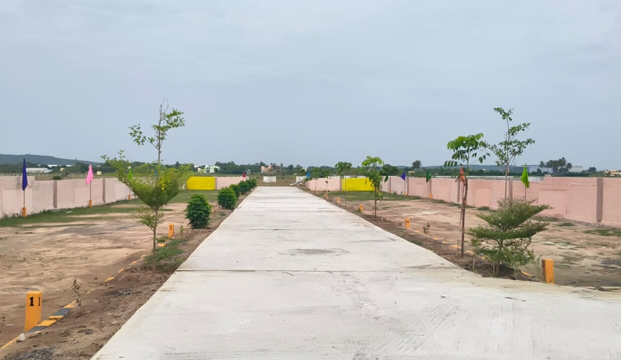 KAYARAMBEDU2
