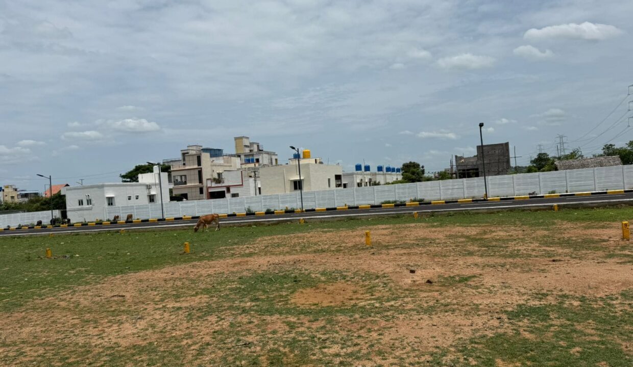 Potheri7